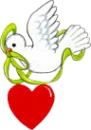 little dove