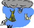 raining cats and dogs