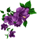 purple