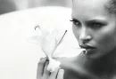 kate moss