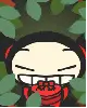 pucca