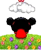 pucca