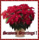 Seasons Greetings