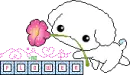 cute