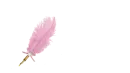 Feather Pen Light Pink - Madeline