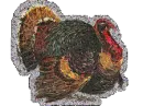 Turkey