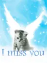 I miss you