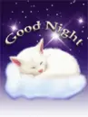 good night
