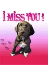 I miss you