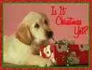 Is It Christmas Yet?