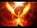 Fire Dragon