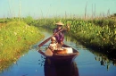 Myanmar