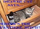 Drawer Cat