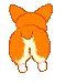 Pembroke Welsh Corgi