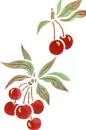 CHEERiES