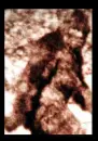 Bigfoot