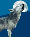 wolf howing moon