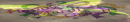Happy Mardi Gras Extended Network Banner