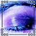Purple Eye