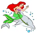 ariel