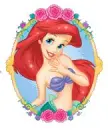 ariel