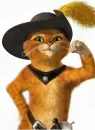its puss in boots