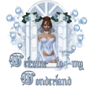 Welcome to my wonderland