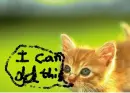 I can do it