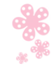 pink flower