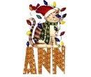 Ann