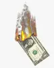 burn the money 
