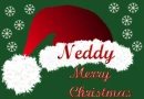 Santa Cap Neddy