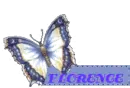 BUTTERFLY BLINKIE