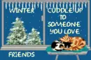 TWO CATS CUDDLED UP 