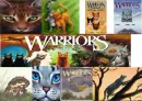 Warriors Cats Collage