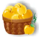 Yellow apples