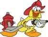 donald fireman
