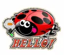 Hello~Ladybug