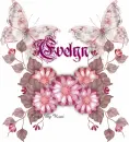 Evelyn