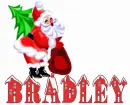 Bradley