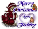 Tabby Merry Christmas