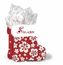SUSAN