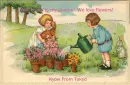 flower garden