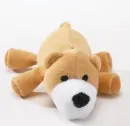 doggy