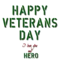Veteran's Day