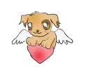 cute