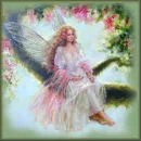 fairy