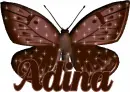 Adina