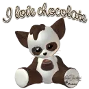 I love chocolate