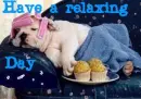 Have a relaxing day Dog